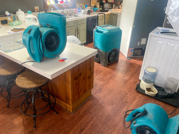 Water damage restoration experts in TN