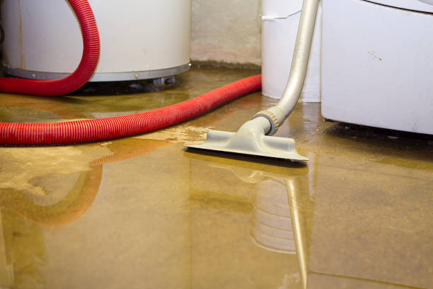 Best Mold removal after water damage  in South Cleveland, TN