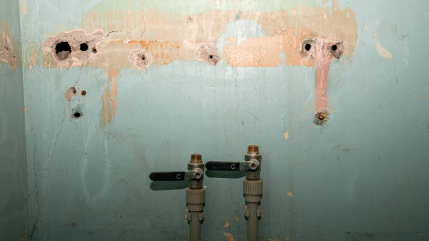 Best Flood restoration services  in South Cleveland, TN