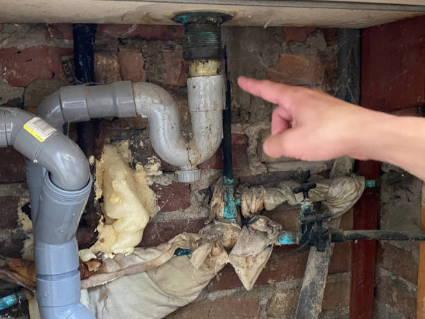 Best Flooded house restoration  in South Cleveland, TN